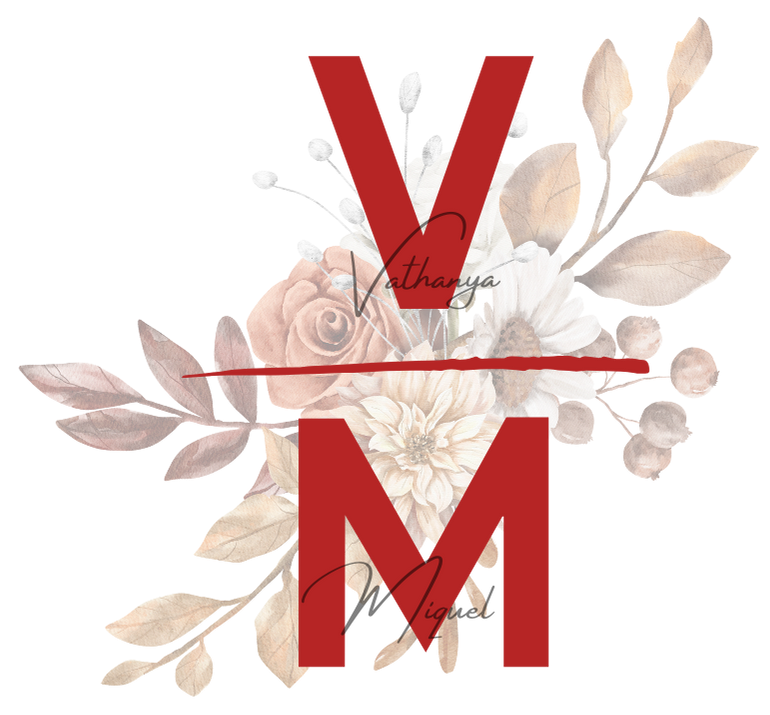 V and M Logo
